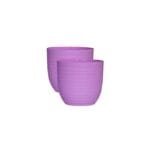 Verona Pink Set of 2
