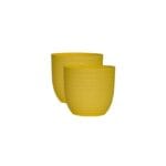 Verona Yellow Set of 2