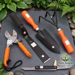 Basic Garden Tool Kit – Professional 5-Piece Stainless Steel Essential Set