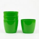 Valencia Green Set of 4