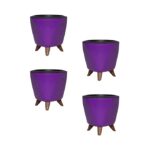 Lagos Purple