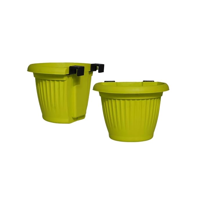 41vgOqFGcxL._SX679_