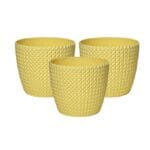 Capri Yellow Set of 3