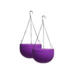 Hanging Carpi Purple Set of 2