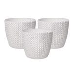 Capri White Set of 3