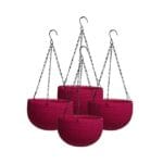 Hanging Carpi Pink
