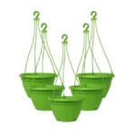 Hangging Bellow Green Set of 5
