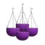 Hanging Carpi Purple