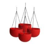 Hangging Carpi Red