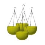 Hanging Carpi Yellow