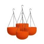 Hangging Carpi Orange