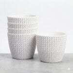 Capri White Set of 5