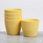 Capri Yellow set of 5