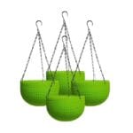Hanging Carpi Green