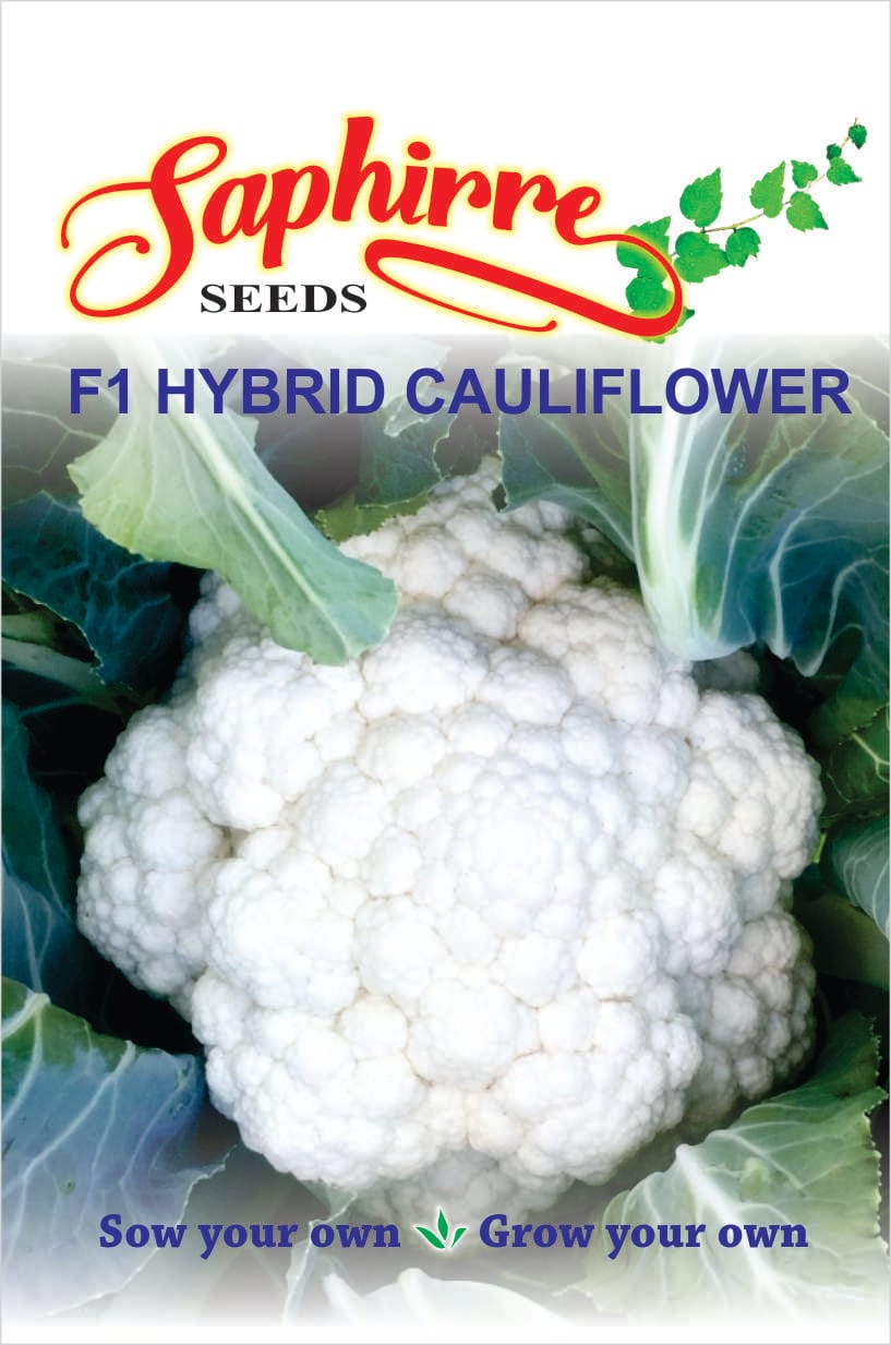 cauliflower
