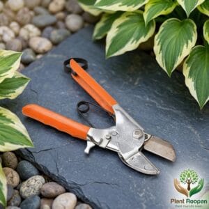 Pruning Secateur No. MMI 61 – Precision Stainless Steel with Soft-Grip Handle