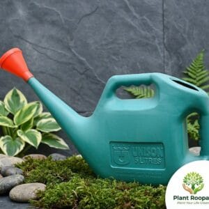 Gardening Watering Can No. 1117 (5 Ltr) – Durable, UV-Resistant Precision Pourer