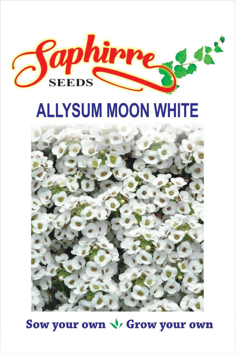 f-assylum