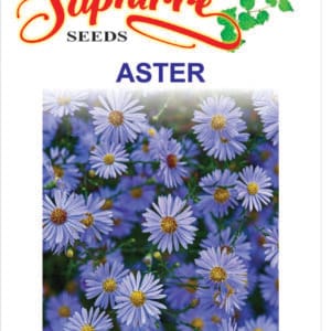 Premium Aster (Mixed Color)