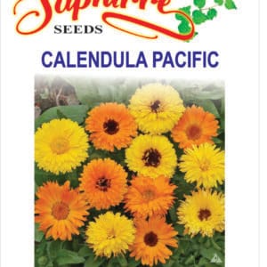 Premium Calendula Bon Bon Mixed Color