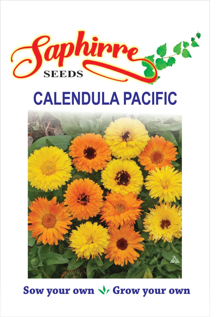 f-calendula-pacific