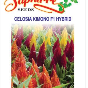 Premium Celosia Kimono F1 Hybrid Mixed Color