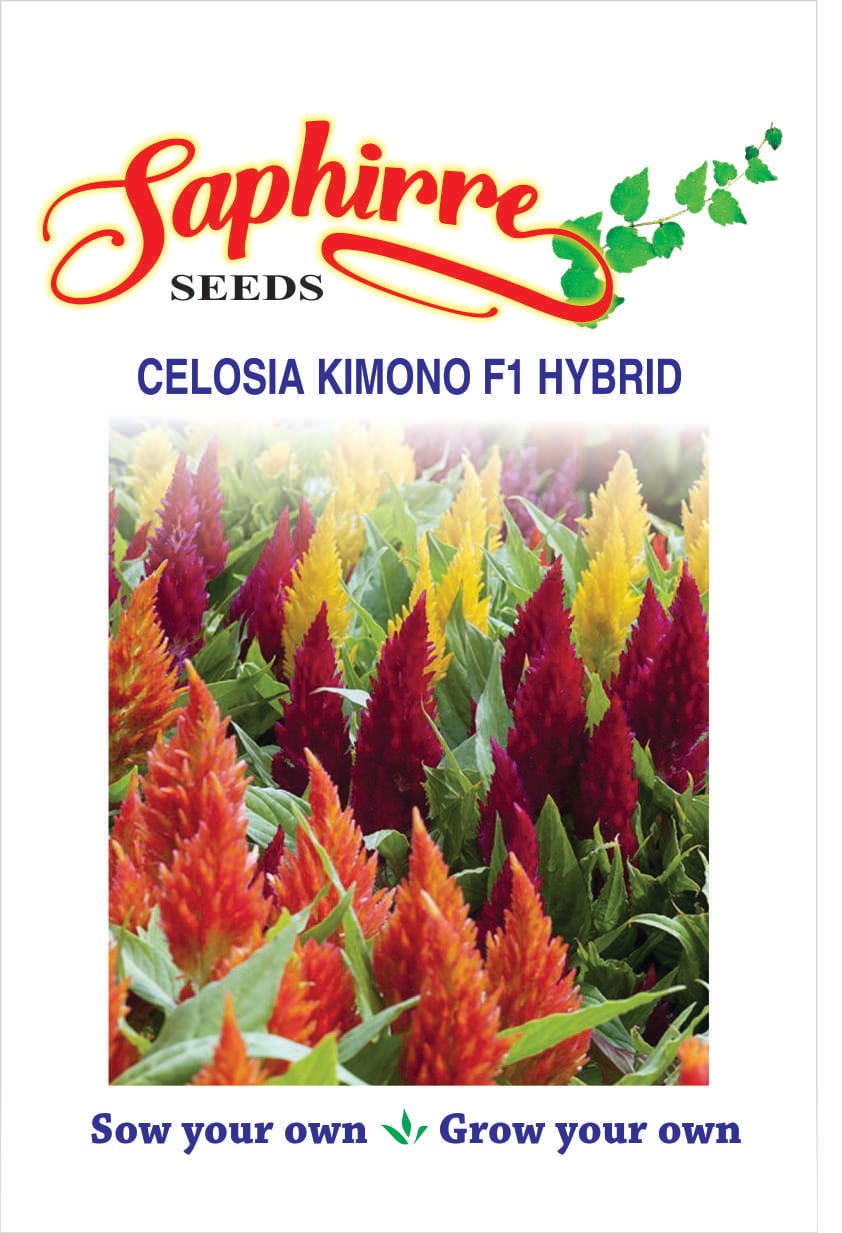 f-celosia