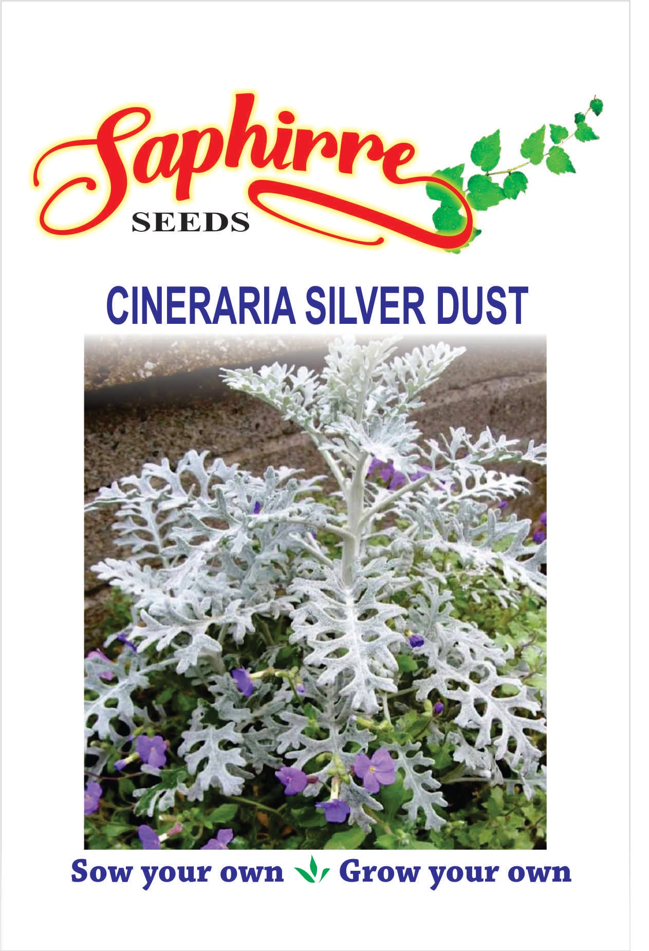 f-cineraria