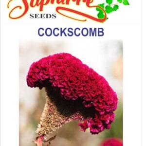 Premium Cockscomb Red (Celosia argentea)