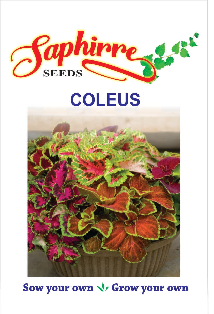 f-coleus