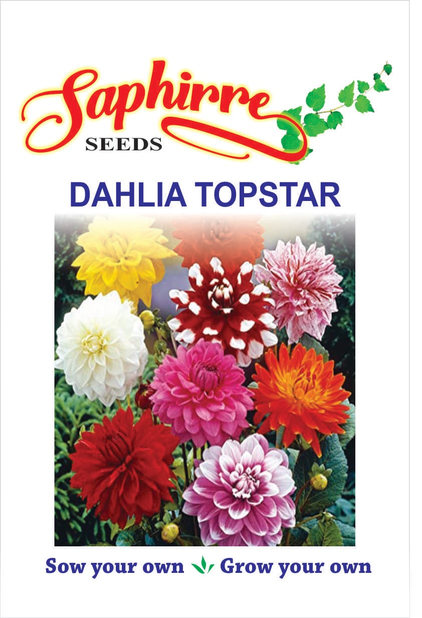 f-dahlia