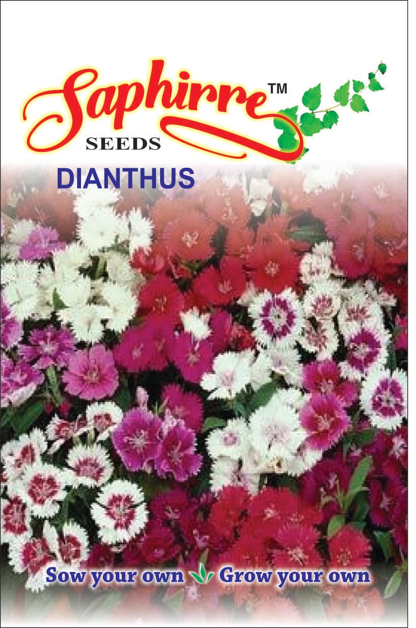 f-dianthus