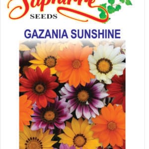 Premium Gazania "Sun Shine" Mixed Color