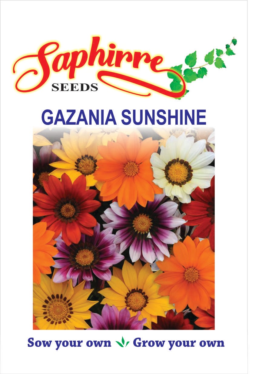 f-gazania