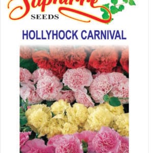 Premium Hollyhock Carnival