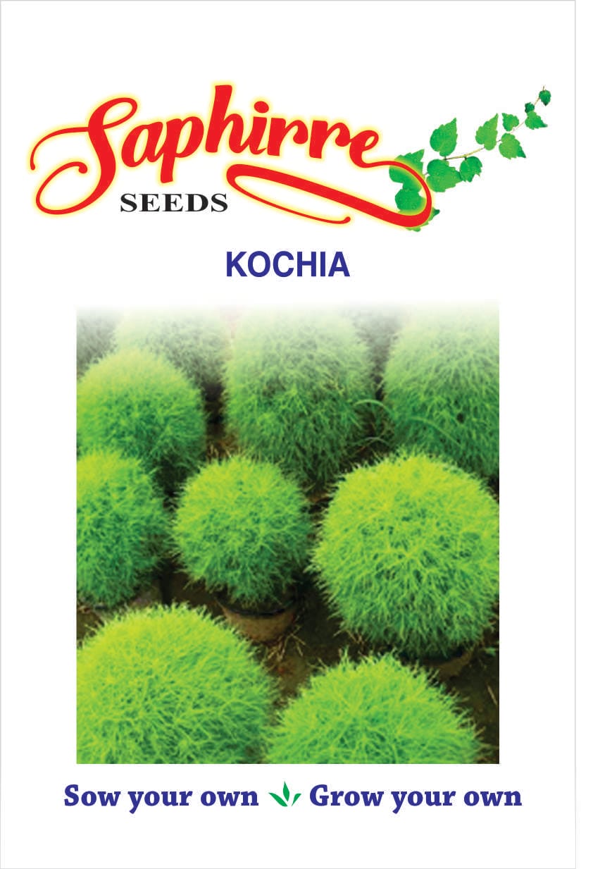 f-kochia