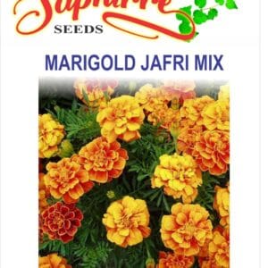 Premium Marigold Jafri