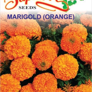 Premium Marigold Perfection Orange