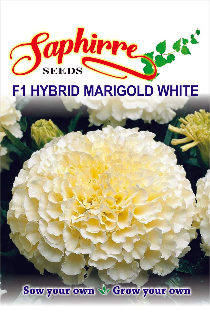 f-marigold-w