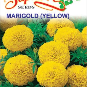 Premium Marigold F-1 Inca Yellow