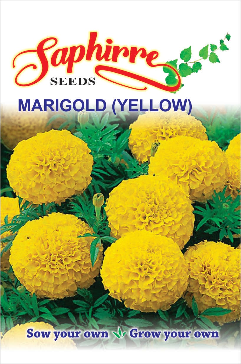 f-marigold-y