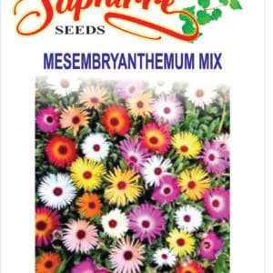 Premium Mesembryanthemum (Ice Plant) Mixed Color