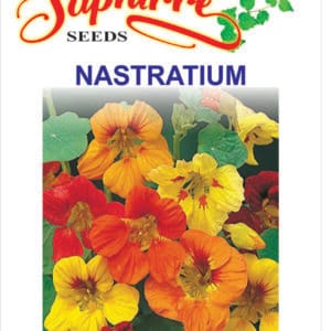 Premium Nasturtium Golden Yellow