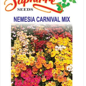 Premium Nemesia Carnival Mixed Color