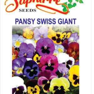 Premium Pansy F1 Swiss Giant