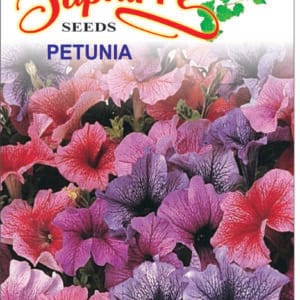 Premium Petunia Grandiflora Mixed Color
