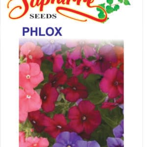 Premium Phlox Beauty Mixed Color