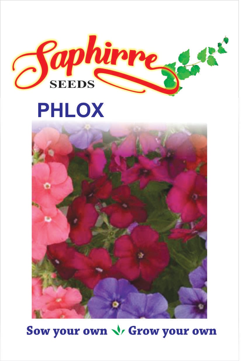 f-phlox