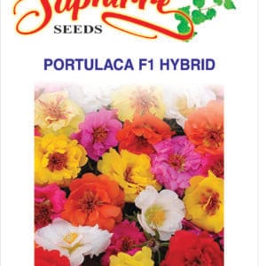Premium Portulaca F1 Hybrid Mixed Color