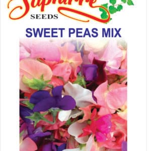 Premium Sweet Pea Bonanza Mixed Color